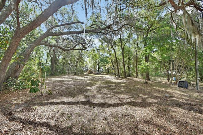 Backyard | Image 43