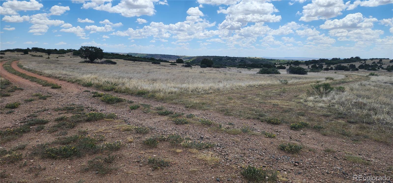 Land in Colorado City 2