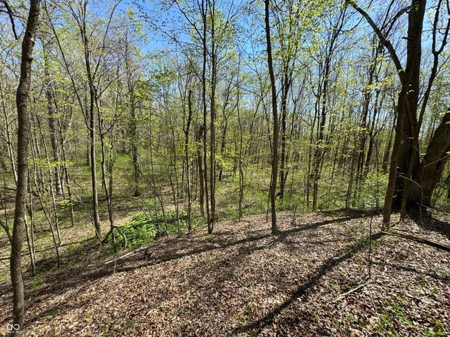 view of landscape featuring a forest view | Image 35