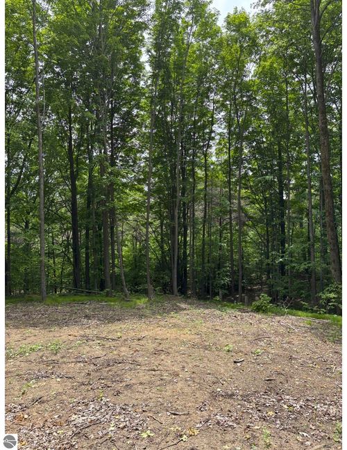 Parcel A N 45 Rd, Manton, MI, 49663 | Card Image