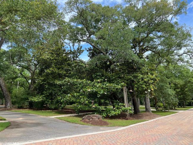 0 Cleyera Drive, Home with 0 bedrooms, 0 bathrooms and null parking in Magnolia Springs AL | Image 16