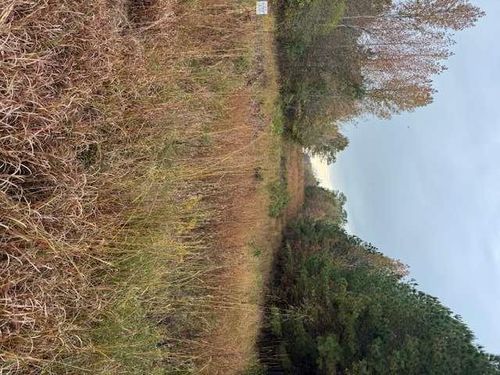 0 Moran Lake Rd Ne, rOME, GA, 30161 | Card Image