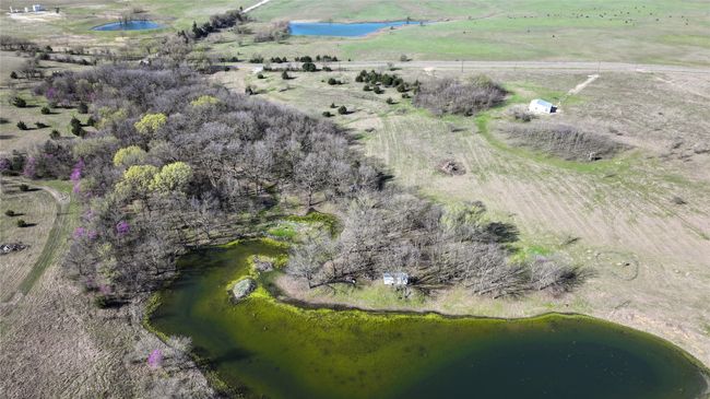 1961 Fm 677 S, Home with 0 bedrooms, 0 bathrooms and null parking in Saint Jo TX | Image 8