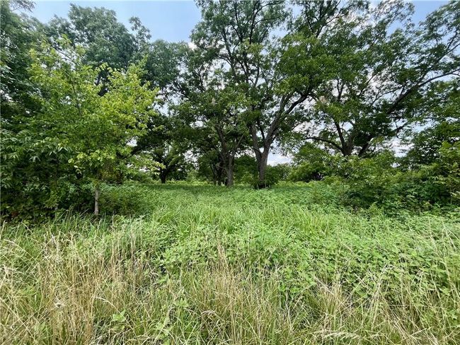 View of nature | Image 7
