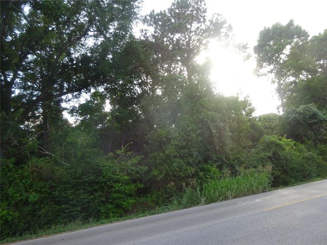 0 Calhoun Rd, Home with 0 bedrooms, 0 bathrooms and null parking in Conroe TX | Image 5