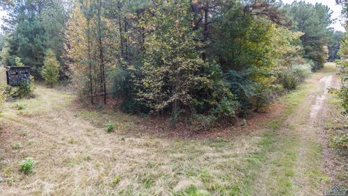 TBD Cr 3133/Pr 7133, De Berry, TX, 75639 | Card Image