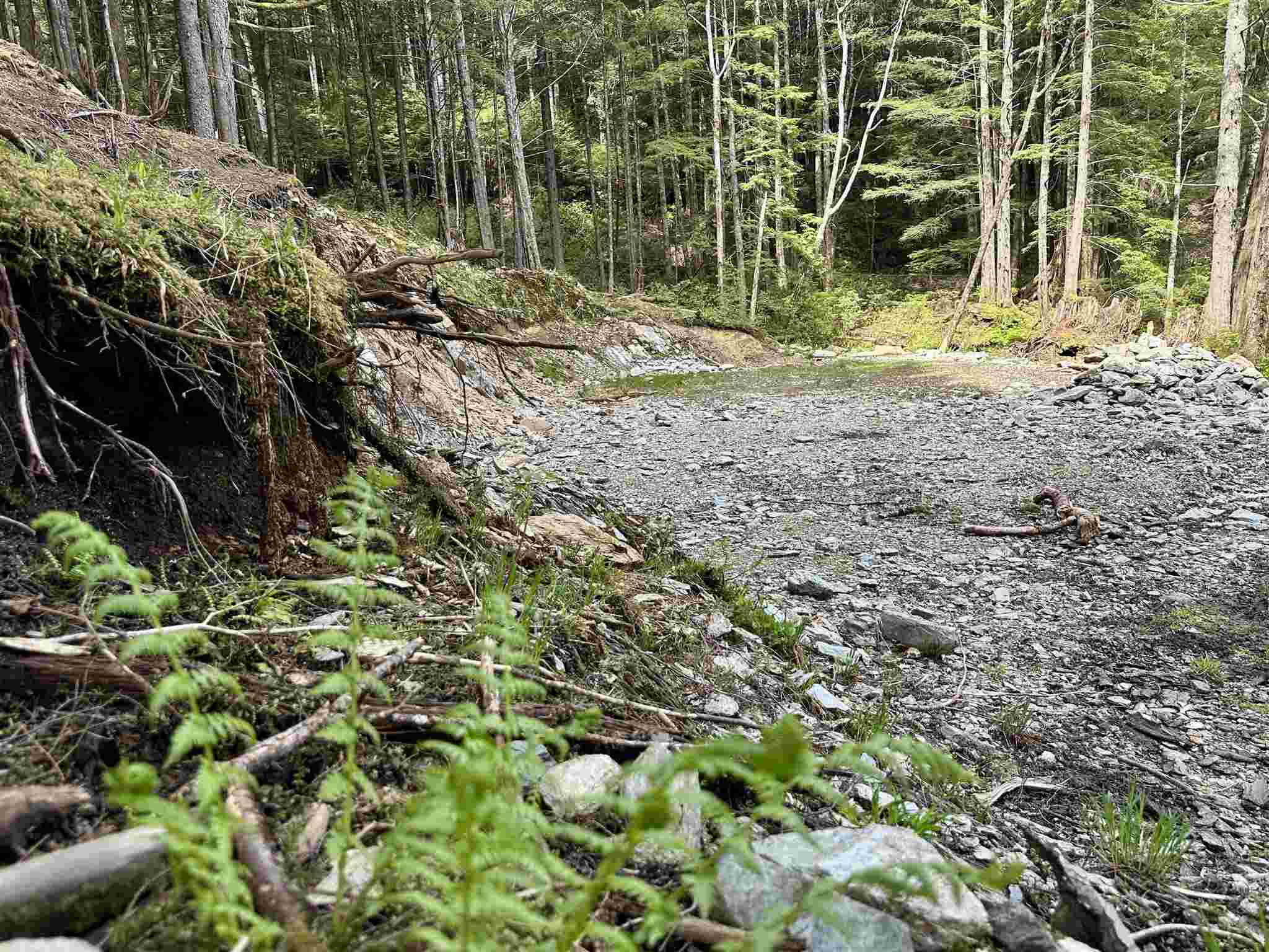 Land in Ketchikan 5