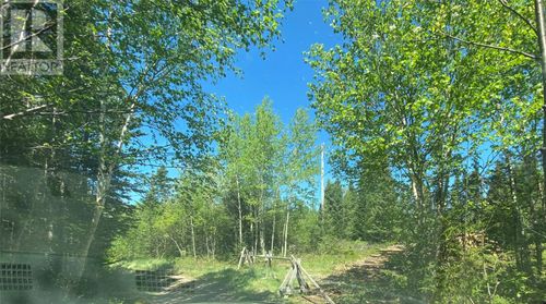 3 Oakley'S Lane, Musgravetown, NL, A0C | Card Image