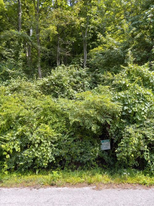 0000 Henry Street, Appalachia, VA, 24216 | Card Image