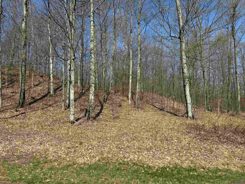 0000 W Timberview Trl, Empire, MI, 49630 | Card Image