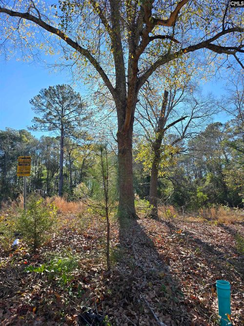 Lot 7 &amp; 8 Popular Street, Cayce, SC, 29033 | Card Image