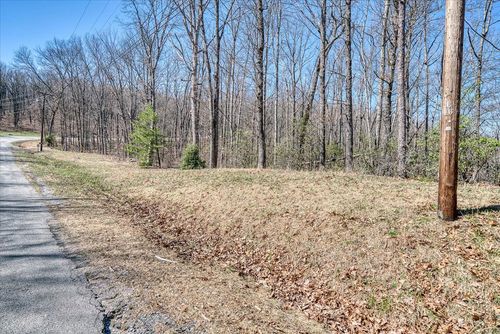 0 Lot 734 Renegade Pkwy, Crab Orchard, TN, 37723 | Card Image