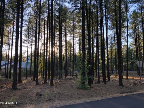 1-2504 Timber Ridge Ln, Pinetop, AZ, 85935-8180 | Card Image