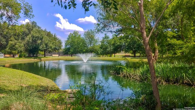 Takas Park | Image 82