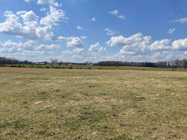 380 Browntown Rd, Home with 0 bedrooms, 0 bathrooms and null parking in Morrison TN | Image 11