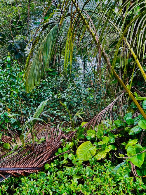 15-740 Kahakai Blvd, PAHOA, HI, 96778-9647 | Card Image