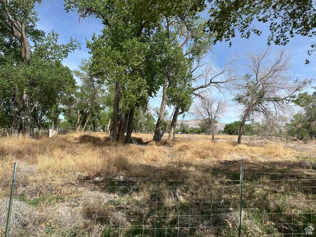 View of undeveloped land | Image 6