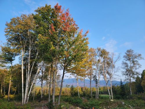109-41-109 Big Snow Way, Rangeley, ME, 04970 | Card Image