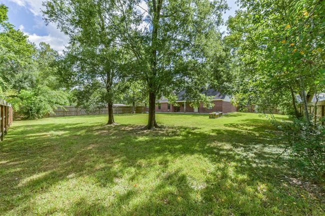 backyard | Image 31