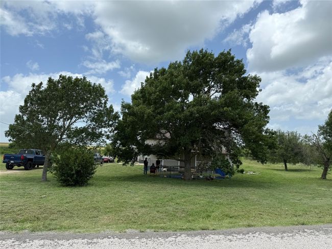 View of green lawn | Image 13