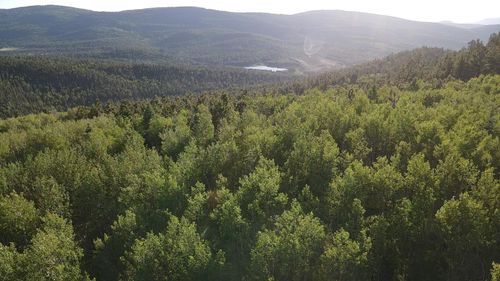 125 Beaver Loop, Angel Fire, NM, 87710 | Card Image
