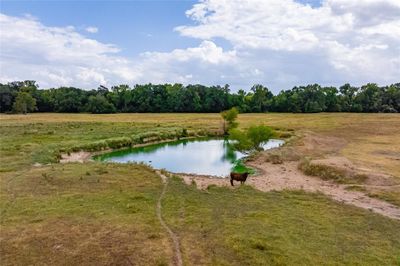 87 Acres Farm Road 269, Home with 0 bedrooms, 0 bathrooms and null parking in Pickton TX | Image 3