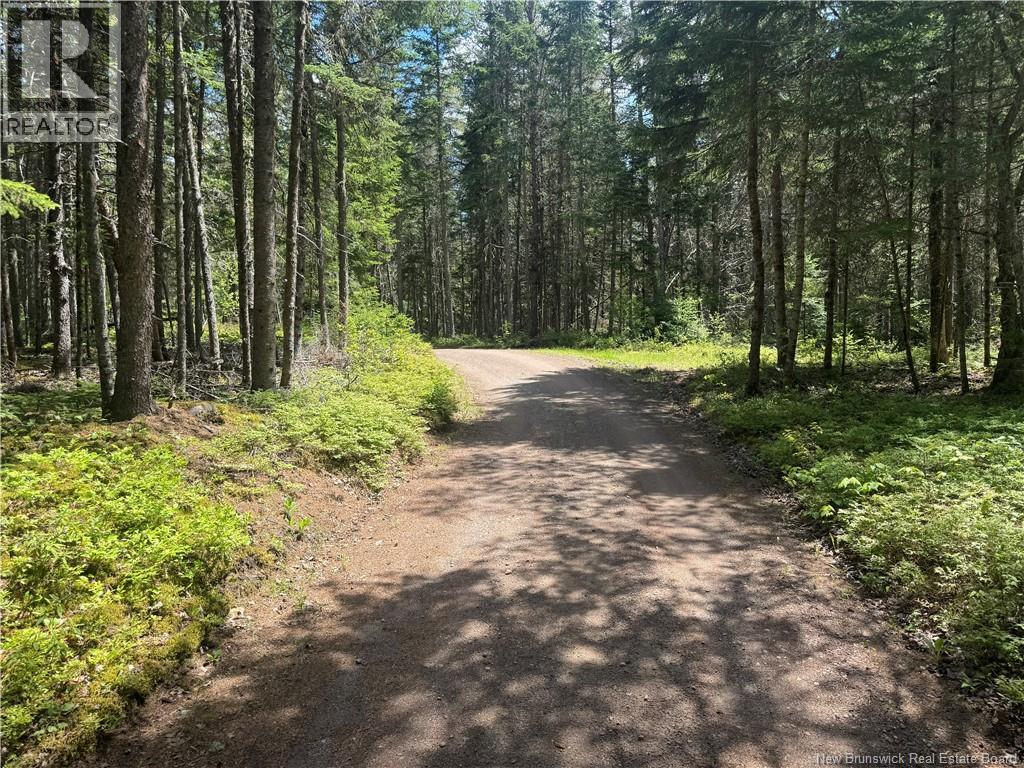 Land in Portage Vale 5
