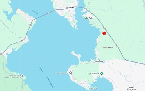 TBD Gray Fox, Livingston, TX, 77351 | Card Image