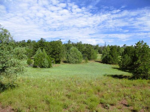 Lots 5 & 6 Black Bear Road, Ramah, NM, 87321 | Card Image