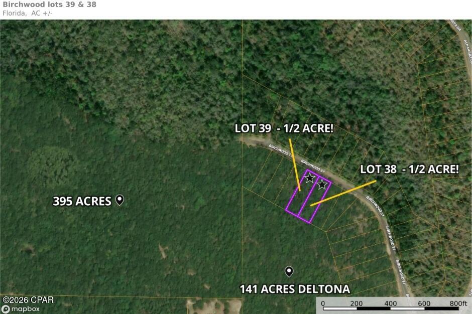 Land in Chipley 4