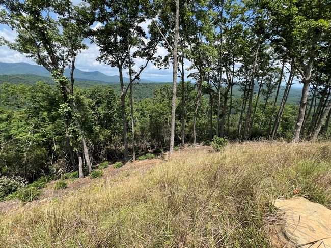 Lot 182 Skyline View Road, Home with 0 bedrooms, 0 bathrooms and null parking in Murphy NC | Image 7
