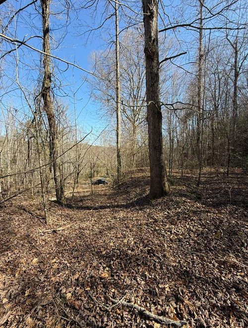 TBD Royal Oaks Trl, Brasstown, NC, 28902 | Card Image