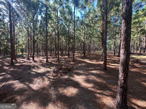 0 Dickey Rd, Sylvania, GA, 30467 | Card Image