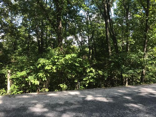 Lot 227 Syler Cir, Hollister, MO, 65672 | Card Image