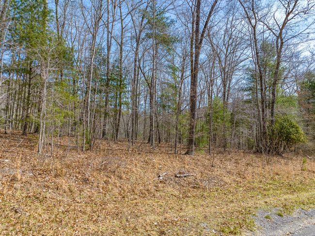 Lot 6 N Sunset Lane, Home with 0 bedrooms, 0 bathrooms and null parking in Bland VA | Image 29