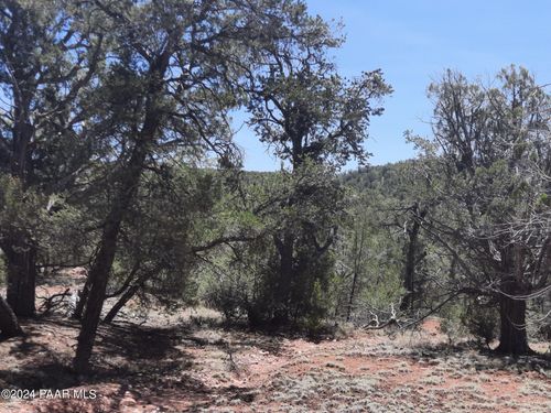 Lot 128 Forest Acres, Seligman, AZ, 86337 | Card Image