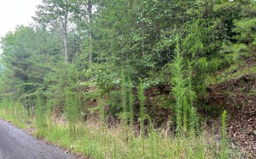 LOT 8 Preserve At Beach Mountain, Brasstown, NC, 28902 | Card Image