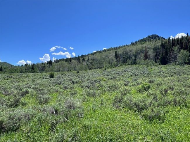 23910 Arapahoe Rd, Home with 0 bedrooms, 0 bathrooms and null parking in Oak Creek CO | Image 14