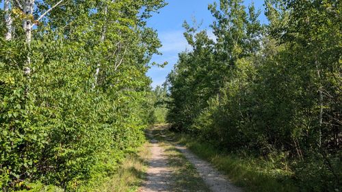 TBD Kennedy Rd, Cook, MN, 55723 | Card Image