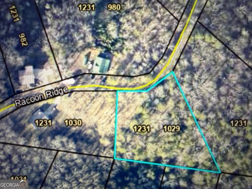 1029 Raccoon Rdg Ne, Ranger, GA, 30734-6741 | Card Image