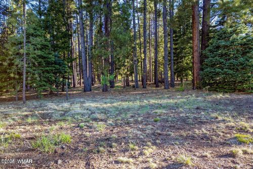 10 N 1337, Greer, AZ, 85927 | Card Image