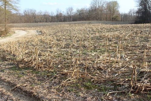 400 W Rural Plat Lot 2, Greencastle, IN, 46135 | Card Image