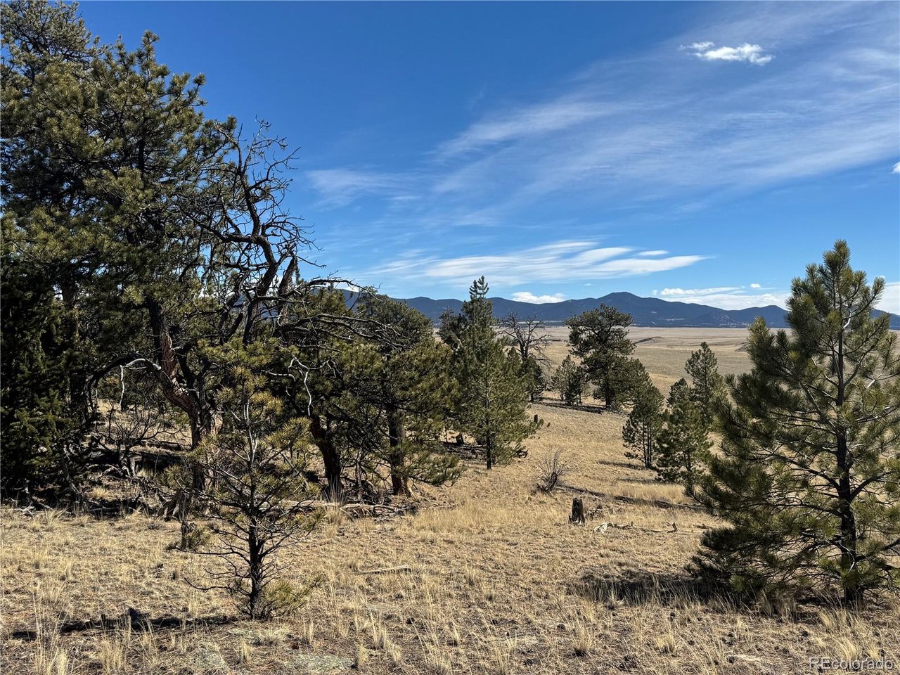 Land in Jefferson 3