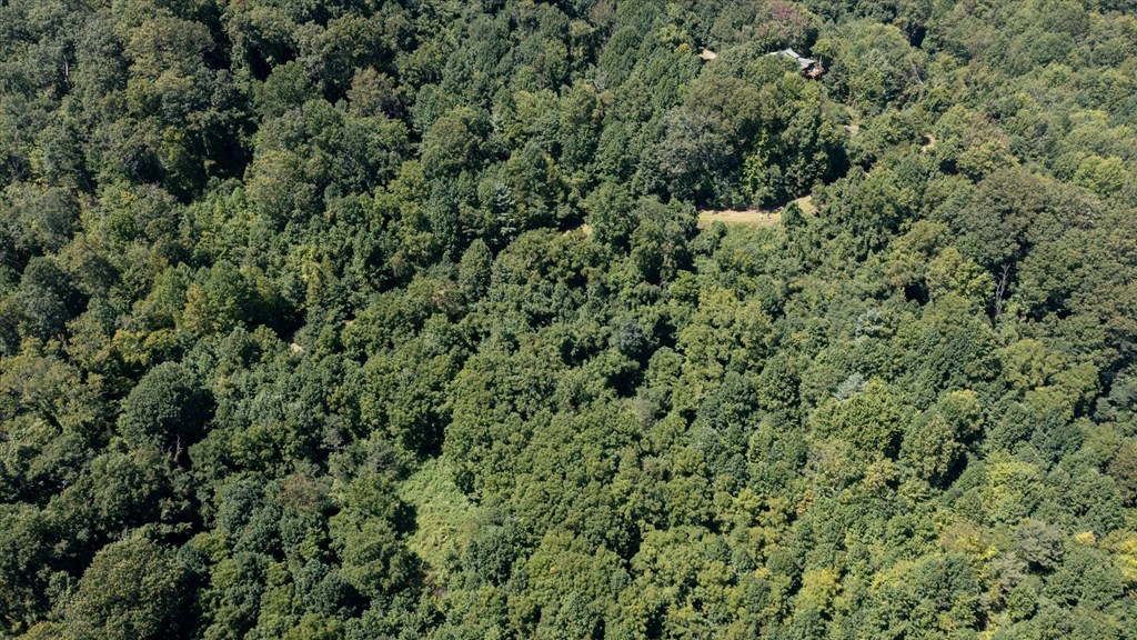 Land in Waynesville 4
