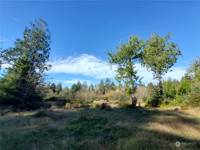 36602 Stackpole Rd, Home with 0 bedrooms, 0 bathrooms and null parking in Oysterville WA | Image 18