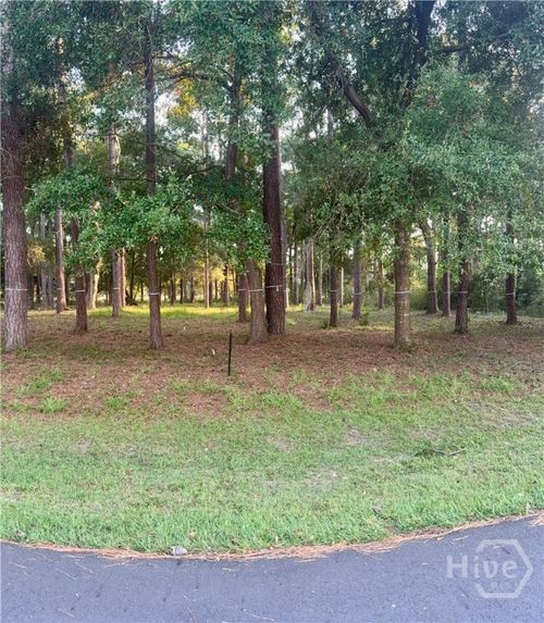 0 Fair Hope Dr Ne, Townsend, GA, 31331 | Card Image