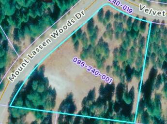 Land in Shingletown
