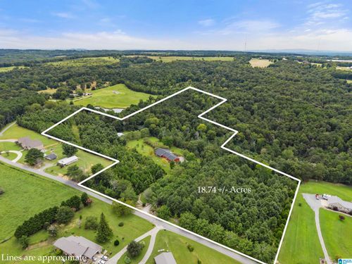 248 Gladden Rd, SPRINGVILLE, AL, 35146-8330 | Card Image