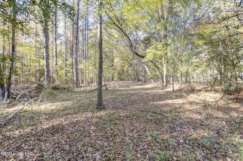 0 Brenmar St, Brandon, MS, 39042 | Card Image