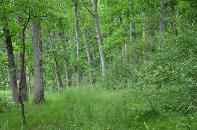 4500 S 42 Nd St, Home with 0 bedrooms, 0 bathrooms and null parking in Climax MI | Image 41
